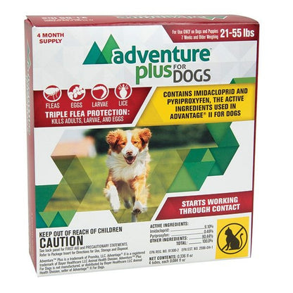 KV-adventure-plus-dog_60658a.jpg
