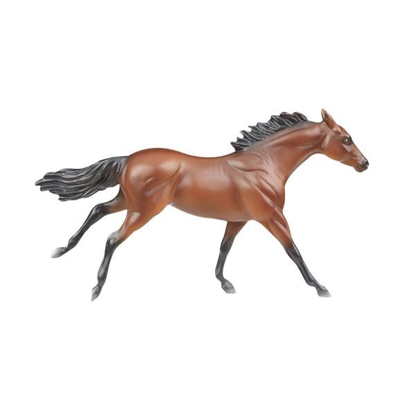 American Pharoah Stablemate