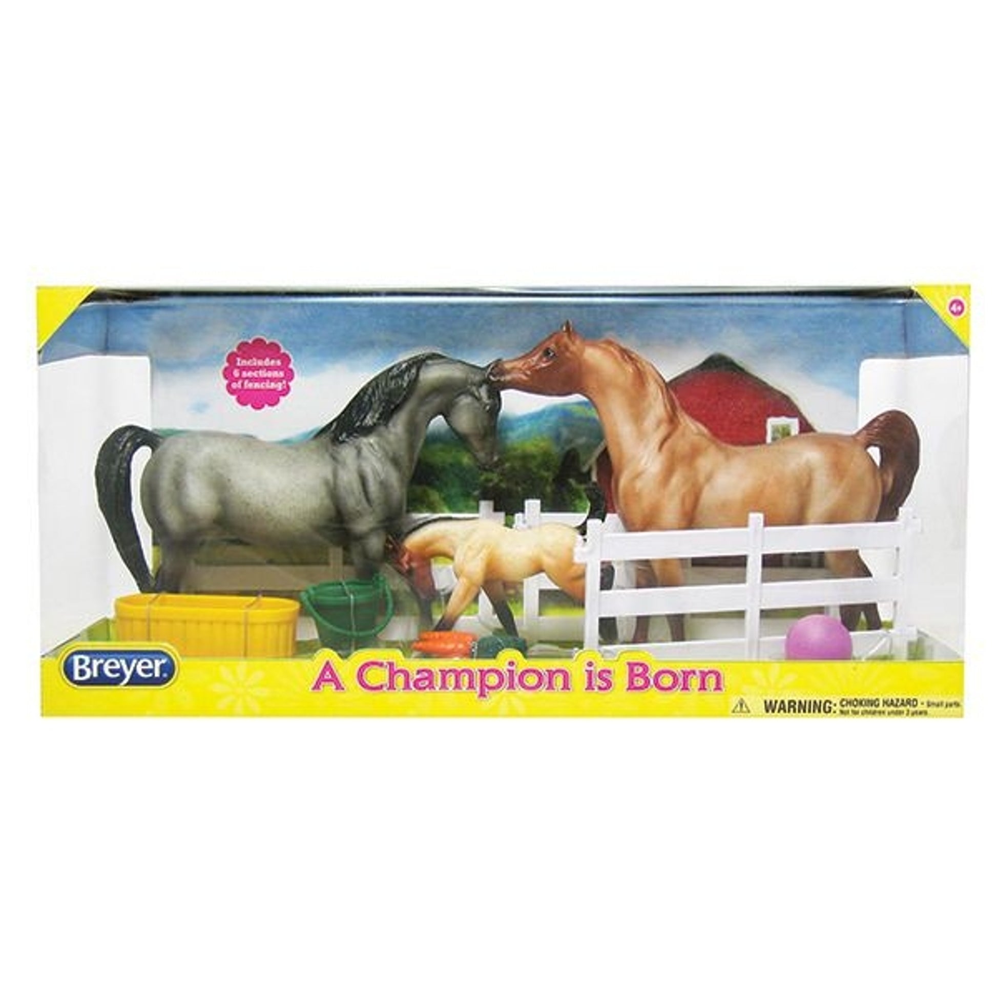 KV-breyer-champion-born_926657.jpg