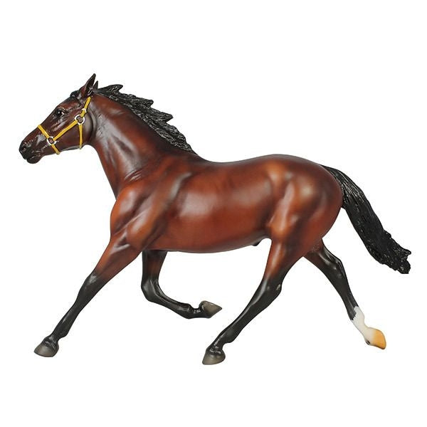 Welsh Cob