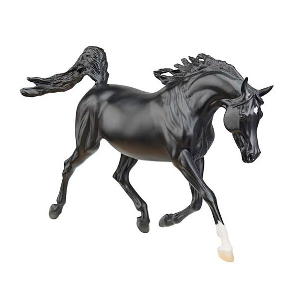 Rhapsondy In Blk Arabian 1752