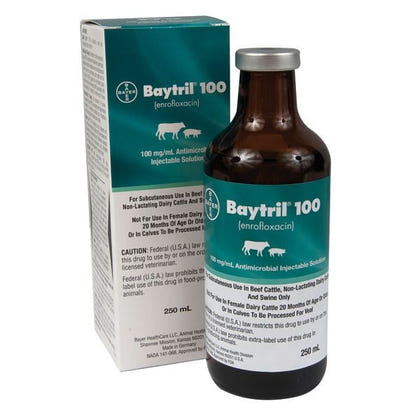 Baytril 100 Injection
