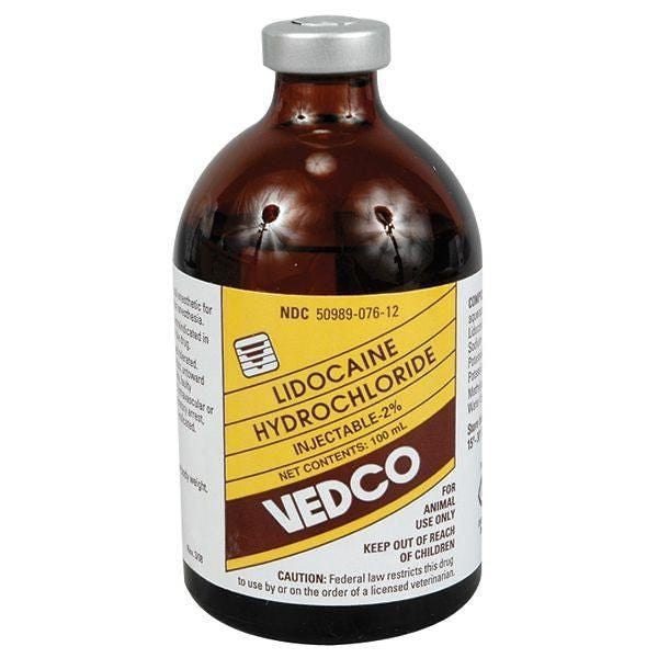 Lidocaine Injection 100ml