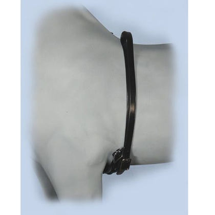 Jacks Prorap Self-Adhering Bandage - Sold by the R