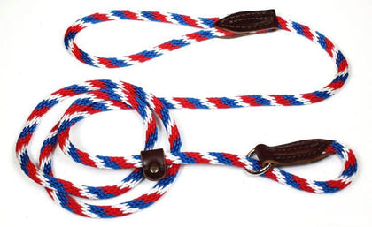 Slip Lead for Dogs