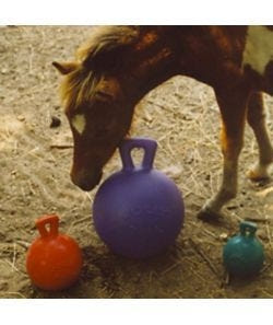 Jolly Pets Tug-n-Toss Ball