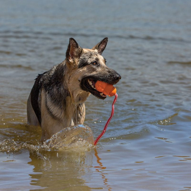 KONG Aqua Floating Retriever Dog Toy