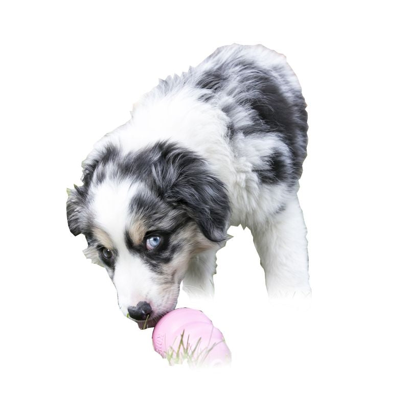 Puppy KONG Rubber Toy