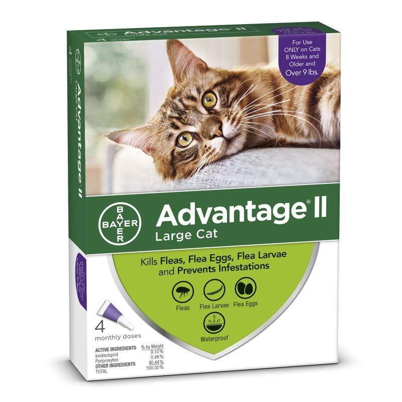 Advantage II for Cats 4-Month Supply