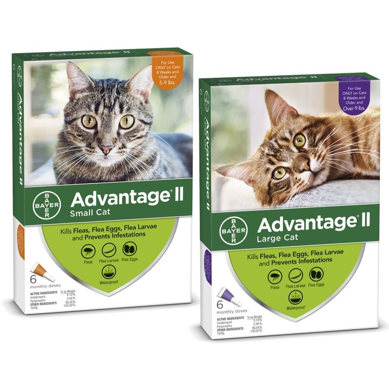 Advantage II for Cats 12-Month Supply Over 9lb