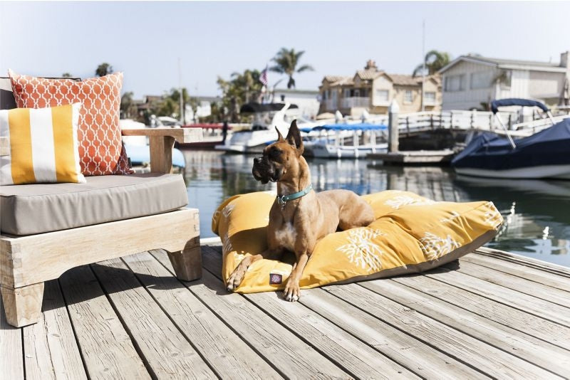 Majestic Outdoor Yellow Coral Rectangle Pet Bed