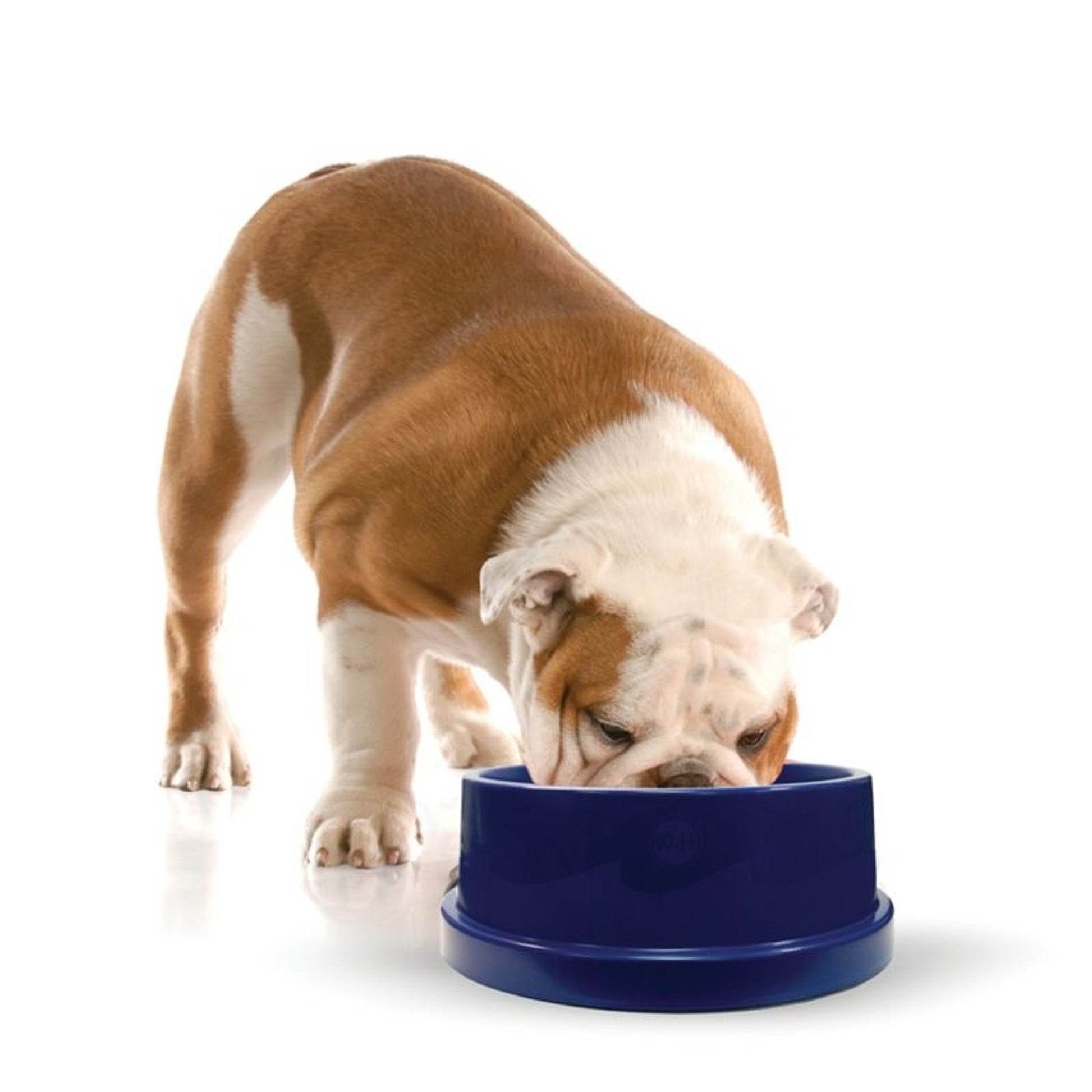KH Mfg Coolin Pet Bowl
