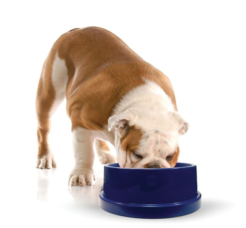 KH Mfg Coolin Pet Bowl
