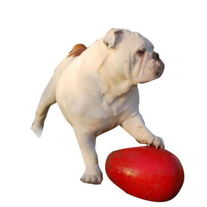 Jolly Pets Jolly Egg Dog Toy