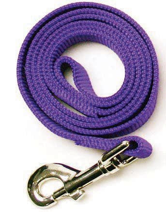 Leather Brothers Nylon Dog Leash