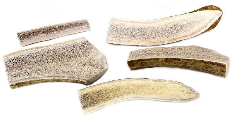 Happy Dog Sliced Elk Antler Dog Chew
