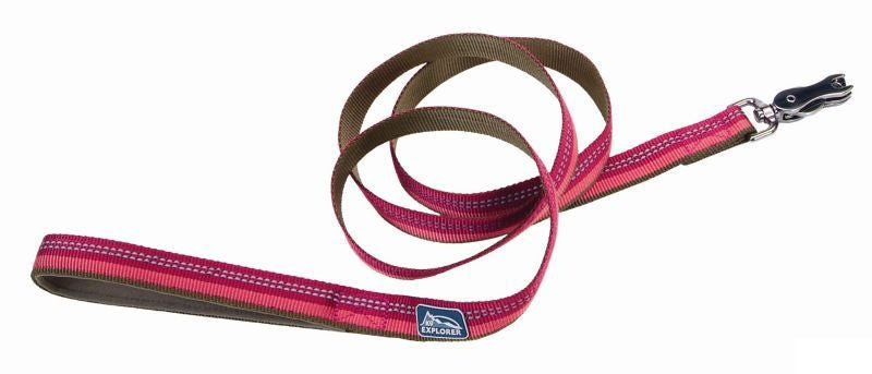 K9 Explorer Reflective Dog Leash