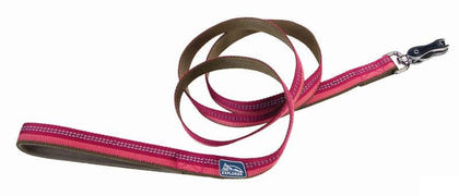 K9 Explorer Reflective Dog Leash