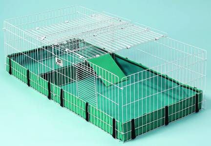 Midwest Guinea Habitat Plus