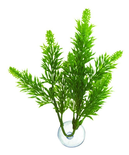 T722243_P.jpg
