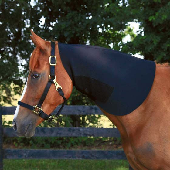 Basic Neoprene Full Neck Sweat