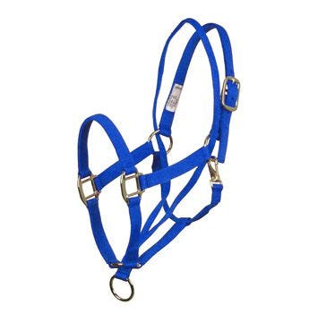 Basic Pull Back Training Halter