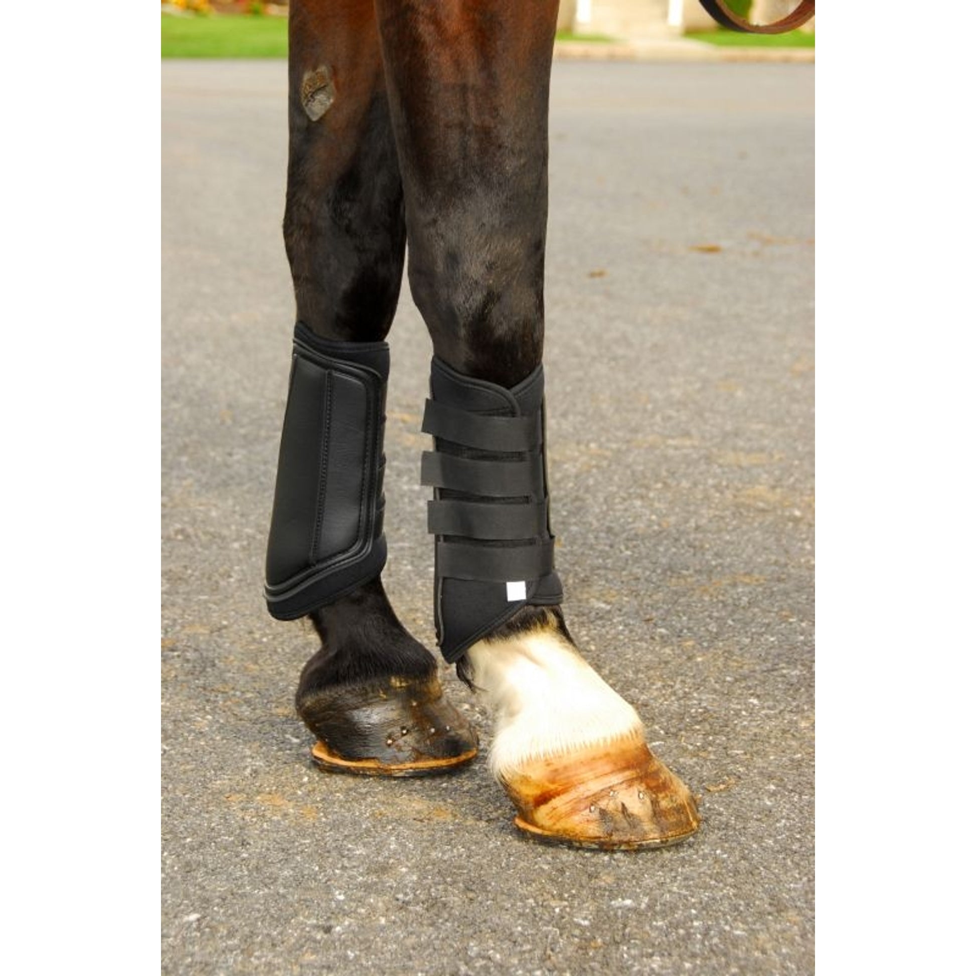 Basic Brushing Boots