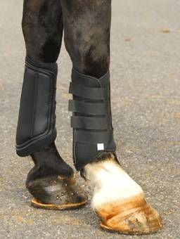 Basic Brushing Boots