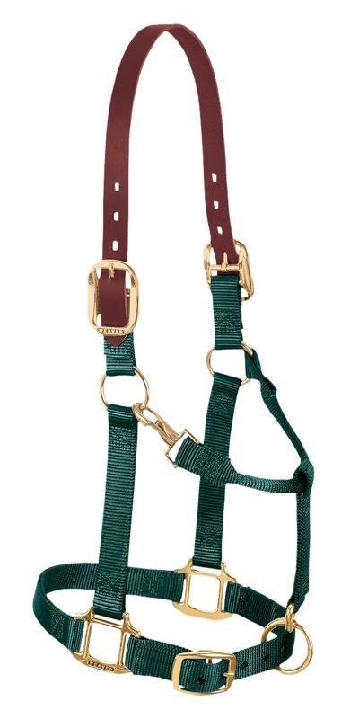 Weaver Org Breakaway Adj Halter