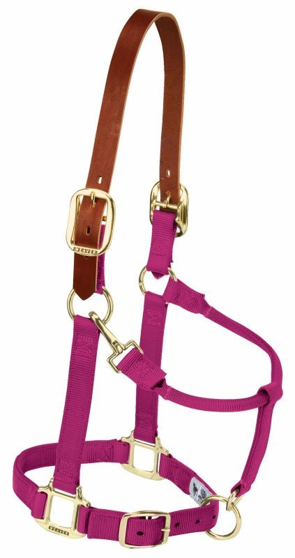 Weaver Org Breakaway Adj Halter