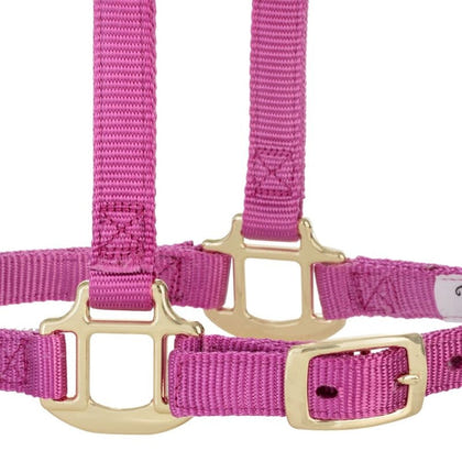 Weaver Org Breakaway Adj Halter
