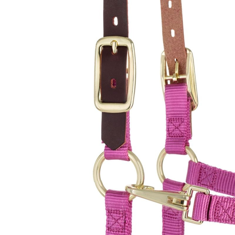 Weaver Org Breakaway Adj Halter