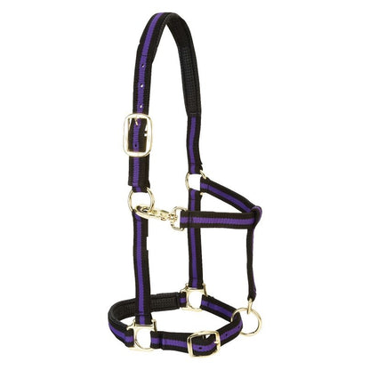 Weaver Leather Padded Adjustable Halter