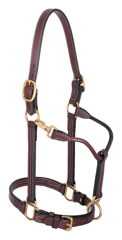 Weaver Leather Double Buckle Crown Halter