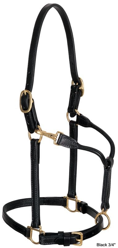 Weaver 1in Leather Track Halter