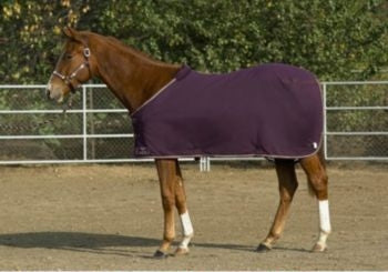 Kensington Egyptian Cotton Stable Sheet