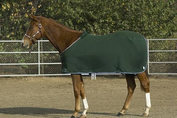 Kensington Egyptian Cotton Stable Sheet