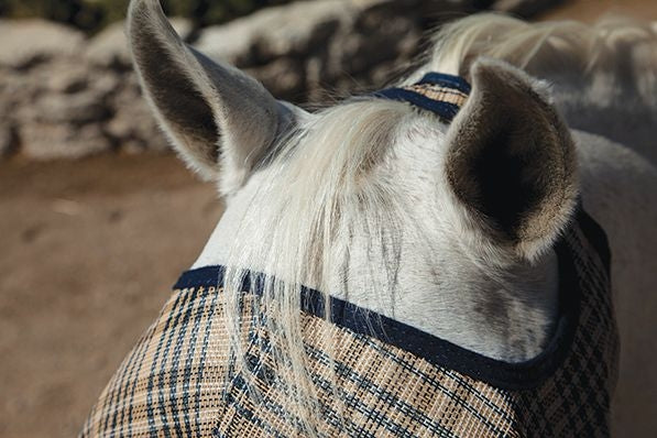 Kensington Long Nose Fly Mask