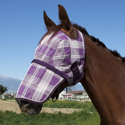 Kensington Long Nose Fly Mask