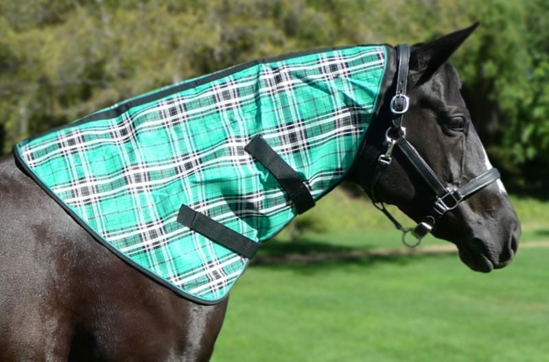 Kensington Textilene Neck Cover