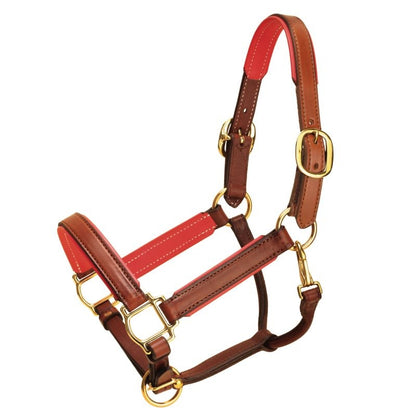 Tory Padded Leather Halter