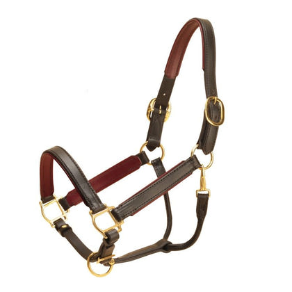 Tory Padded Leather Halter