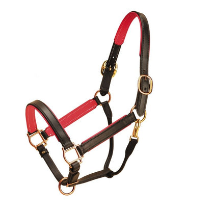 Tory Padded Leather Halter