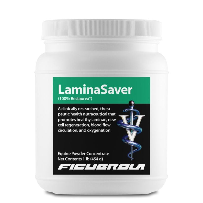 Figuerola LaminaSaver