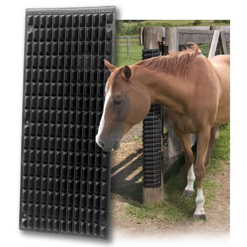 The Equine Scratcher
