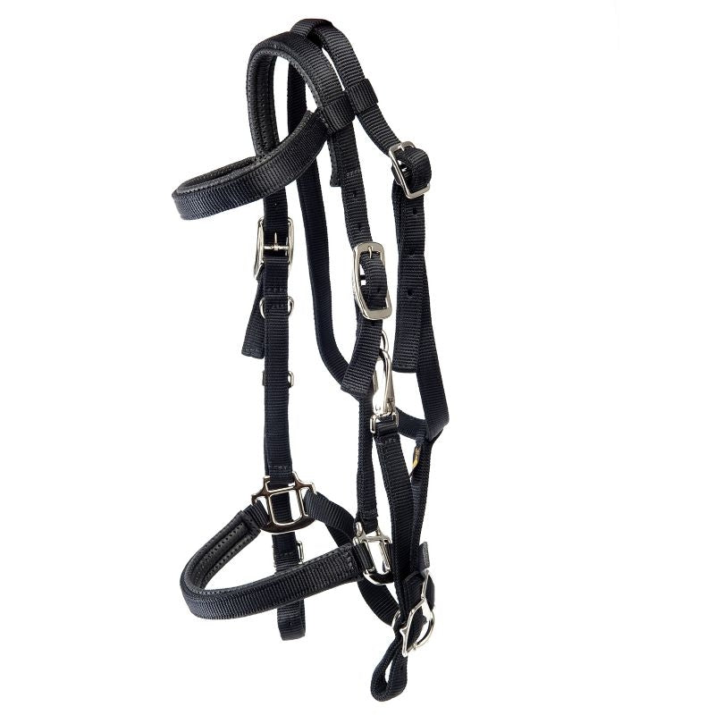 Triple E Nylon Padded Halter Trail Bridle