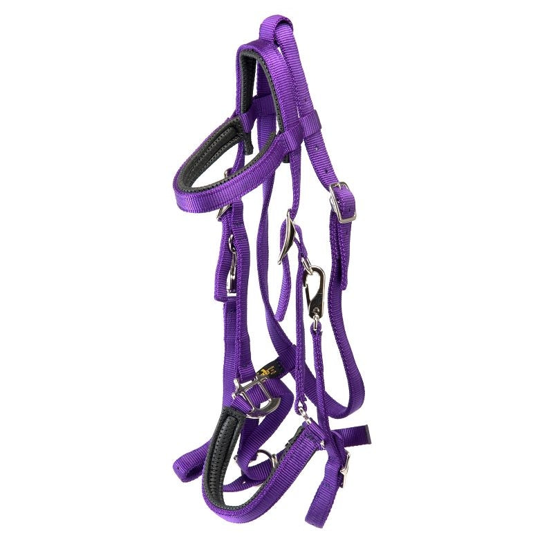 Triple E Nylon Padded Halter Trail Bridle