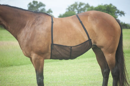Cashel Quiet Ride Belly Guard