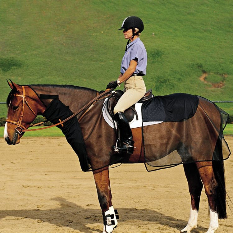 Cashel Quiet Ride Bug Armor - 2 Piece Set