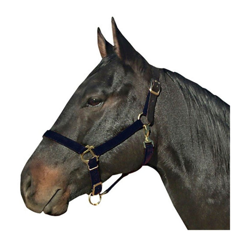 Leather Crown Nylon Breakaway Halter